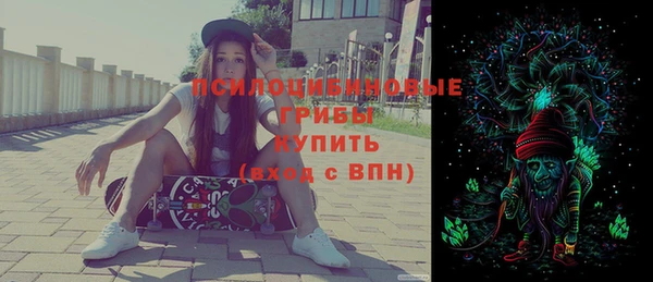 ешки Абаза
